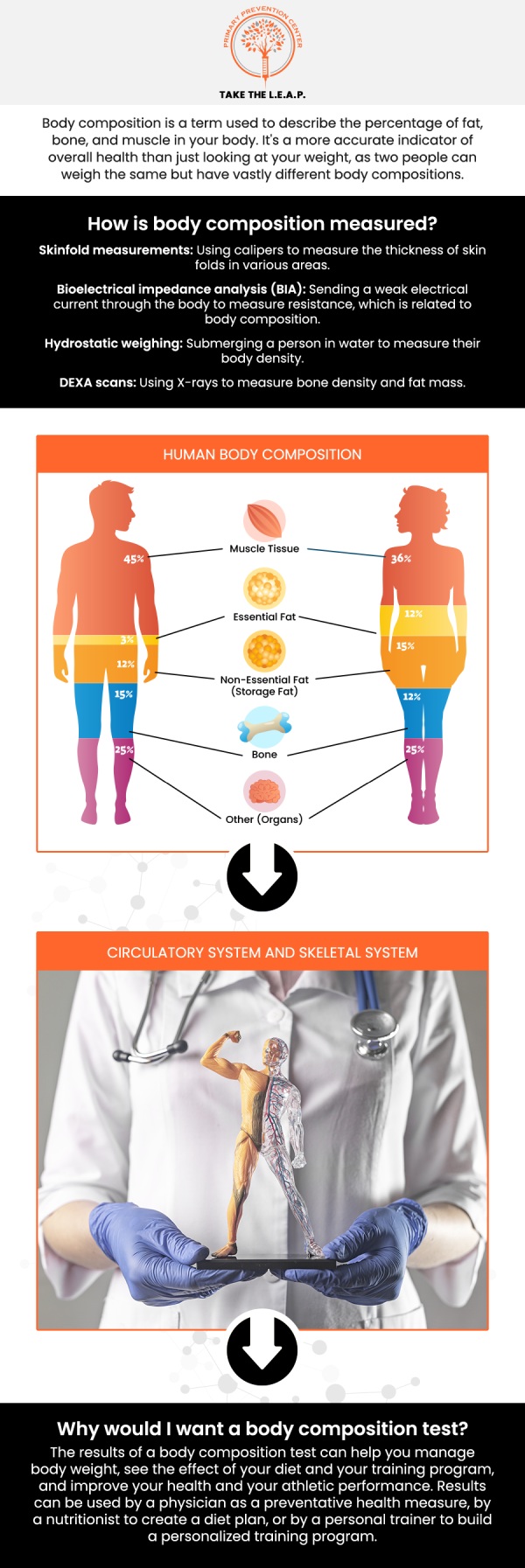 Common questions asked by patients: What is body composition and why is it important for health? How can I improve my body composition? What factors affect body composition? How does body composition differ from body weight? What is the ideal body composition for optimal health? For more information, contact us or request an appointment online. We are located at 638 Newtown-Yardley Road Suite 2G/H, Newtown, PA 18940. We serve patients from Newtown PA, Richboro PA, Newtown Grant PA, Churchville PA, Woodbourne PA, Yardley PA, Bucks County PA, and surrounding areas.