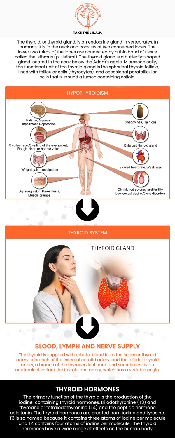 Common questions asked by patients: What are the common treatments for thyroid disorders? How is hypothyroidism treated? What are the symptoms that indicate thyroid treatment is needed? Can thyroid treatment help with weight gain or loss? How long does it take to see results from thyroid treatment? For more information, contact us or request an appointment online. We are located at 638 Newtown-Yardley Road Suite 2G/H, Newtown, PA 18940. We serve patients from Newtown PA, Richboro PA, Newtown Grant PA, Churchville PA, Woodbourne PA, Yardley PA, Bucks County PA, and surrounding areas.