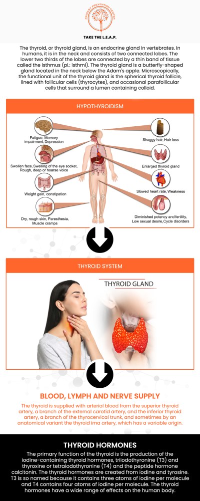 Common questions asked by patients: What are the common treatments for thyroid disorders? How is hypothyroidism treated? What are the symptoms that indicate thyroid treatment is needed? Can thyroid treatment help with weight gain or loss? How long does it take to see results from thyroid treatment? For more information, contact us or request an appointment online. We are located at 638 Newtown-Yardley Road Suite 2G/H, Newtown, PA 18940. We serve patients from Newtown PA, Richboro PA, Newtown Grant PA, Churchville PA, Woodbourne PA, Yardley PA, Bucks County PA, and surrounding areas.